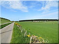Roadside pastureland in IV30 8QU