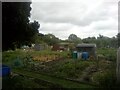 Whitehall Lane Allotments in RM17 6BH