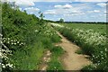 Footpath towards Calves Close Spinney in OX17 1LD