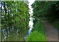 Chesterfield Canal between two roads in S80 3DN