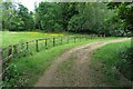 Buttercup paddock on the edge of Edgcote in Chipping Warden and Edgcote