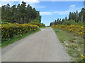 Track at Fogwatt Moss in IV30 8SW