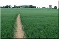 Footpath to Wardington Gate in Chipping Warden and Edgcote