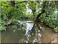River Cherwell by Edgcote in Chipping Warden and Edgcote