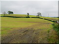 Harvested hay fields at Lupton Hall in LA6 2PY