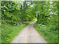 Track to Gordonshall in KY10 2RU
