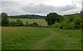 Path near Flemings Farm, Cherry Orchard Jubilee Country Park in SS9 5AL