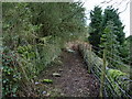 Footpath off Flip Road, Haslingden in BB4 5TS