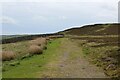 Weardale Way below Hillend Quarry in DL13 2TG
