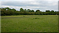 Pasture Field, Hawkwell in SS4 1YD