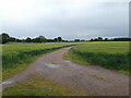 Path through the field of barley in YO19 5ND