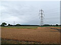 Fields and pylons by Kexby Stray in YO41 5LQ