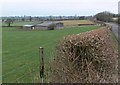 Farm buildings along Leire Lane in LE17 5EY