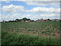 Potato field, Gosberton Risegate in PE11 4EZ