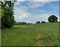 Farmland near Coxgreen in West Midlands English Region