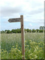 Public Bridleway sign in NR28 9PL