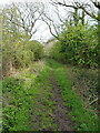 Bridleway & track towards Headley Heath in B38 0EG