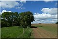 Footpath in a field of young crops in MK18 5LE