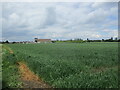 Wheat field and grain store, Deeping St. James in PE6 8TZ