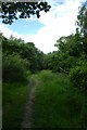 Bridleway in the woods in MK18 5AL
