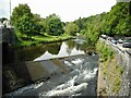 Weir on the Allan Water in FK9 4JR