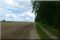 Holback Lane beside Home Wood in Lillingstone Dayrell with Luffield Abbey