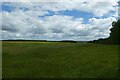 Field north of Home Wood in Lillingstone Dayrell with Luffield Abbey