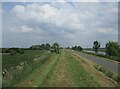 Flood bank near Roslyn Farm in Whittlesey North West Ward