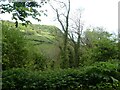 Weston Cliff from Dunscombe Coppice in EX10 0PH
