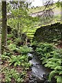 Stream flowing into Parcevall Hall Gardens in BD23 6DE