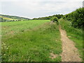 Public bridleway near Abinger Hammer in RH5 6QY