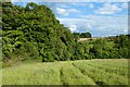 Woods and farmland, Wheeler End in HP14 3BE