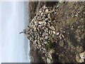 Cairn at the summit of Carn Ogof in SA64 0LN