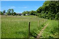 Footpath and grassland, Feock in TR3 6JL