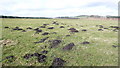 Mole Hills on Corsbie Moor in TD4 6AU