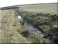 Eden Burn, tributary of the River Tweed in TD4 6AU