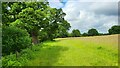 Peatmoor Copse with mature trees in RG27 0JH