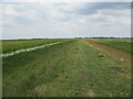 Flood bank between Whittlesey and Eldernell in PE7 1RH