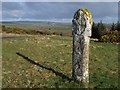 Cross on Laneast Downs in PL15 8TA