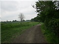 Footpath to Harleston in Shelland