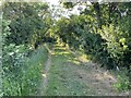 Bridleway to Cambridge Road in CB23 1LN