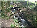 Small Waterfall on Nant y Ffin in SA18 2LD