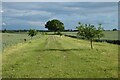 Track and farmland, Waltham St Lawrence in RG10 9YE