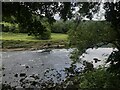 River Wye shallows in GL15 6SH