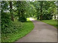 Path through wooded area in Blantyre