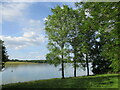 Rutland Water and the edge of Armley Wood in Rutland