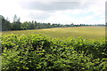 Field in Fawley Bottom in RG9 6JH