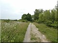 Track in the Middleton Lakes RSPB  Reserve in B77 1LX