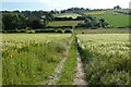 Farmland, Newton Valence in East Hampshire District