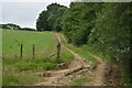 Footpath on track beside Guildables Wood in TN8 6SP